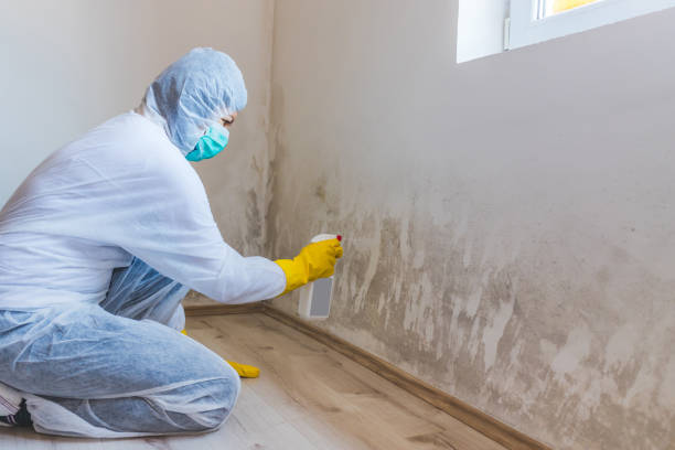 Licensed Crawl Space Mold Removal service in Locust Hill, VA - WQB Mold Removal