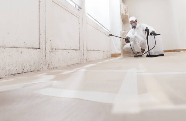 24/7 Emergency Crawl Space Mold Removal experts in Locust Hill, VA