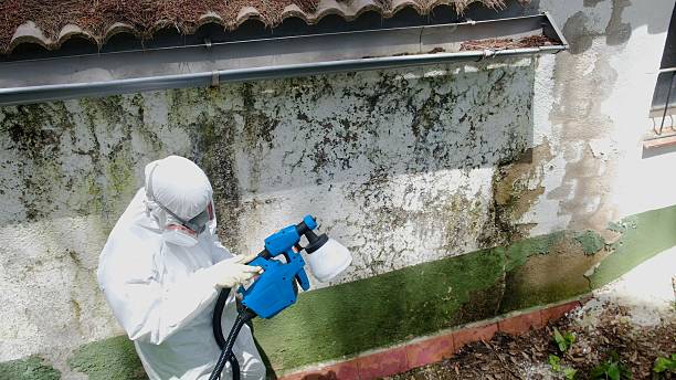 Top rated local Crawl Space Mold Removal specialists in Locust Hill, VA